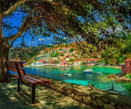 Seagull * Trapezaki (Kefalonia)